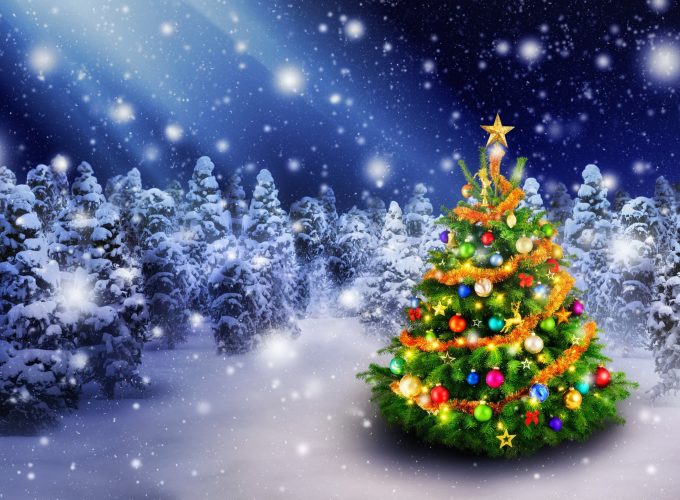 Wallpaper Christmas, New Year, snow, fir tree, 5k, Holidays 7038210667